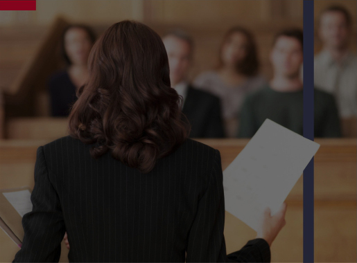 REPRESENTATION IN COURT